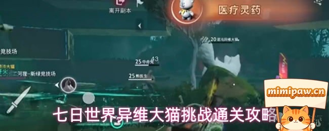 七日世界异维大猫BOSS战斗场景