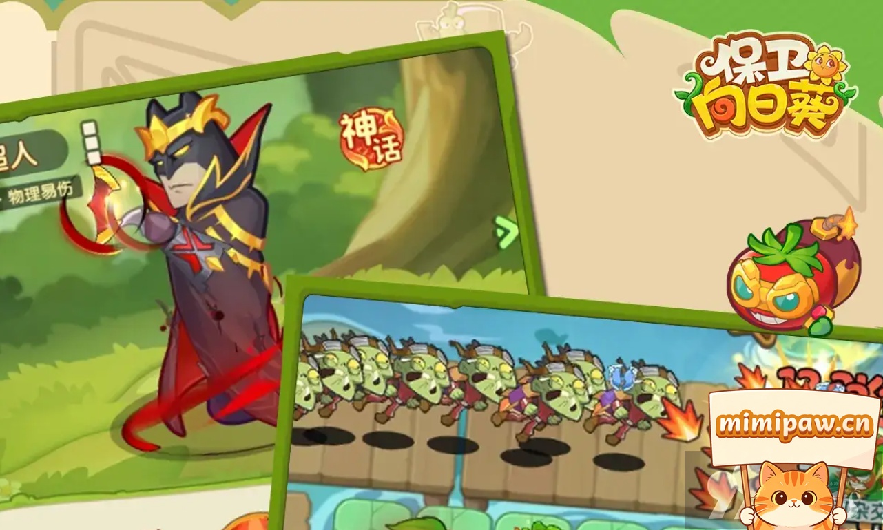 保卫向日葵金刚菊外观