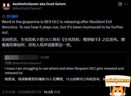 生化危机9安魂曲游戏画面