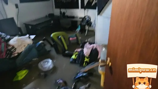 极限竞速地平线6赛事画面