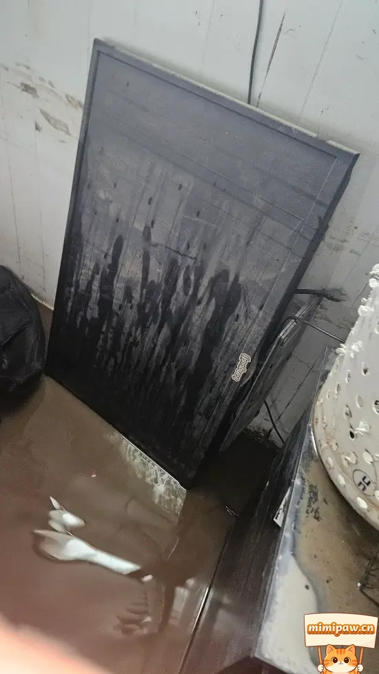 极限竞速地平线6车辆调校界面