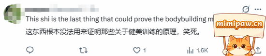 GTA6不同观点图